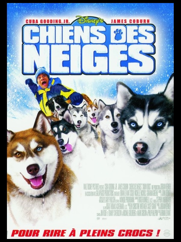 Affiche du film CHIENS DES NEIGES