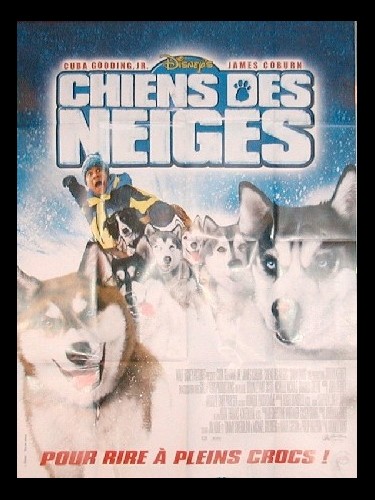 Affiche du film CHIENS DES NEIGES - SNOW DOGS