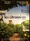 CITRONNIERS (LES) - ETZ LIMON